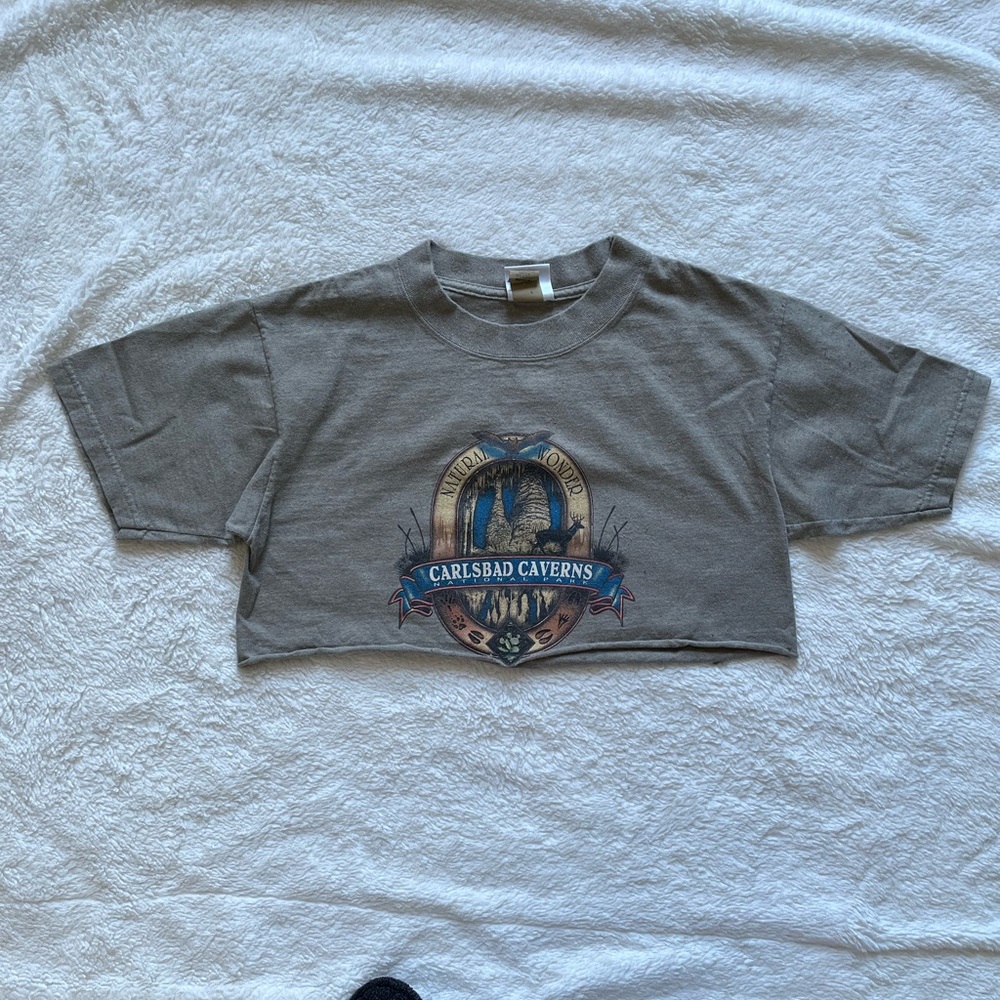 Medium Eco Mountain cropped t shirt, carlsbad caverns new mexico NM 505